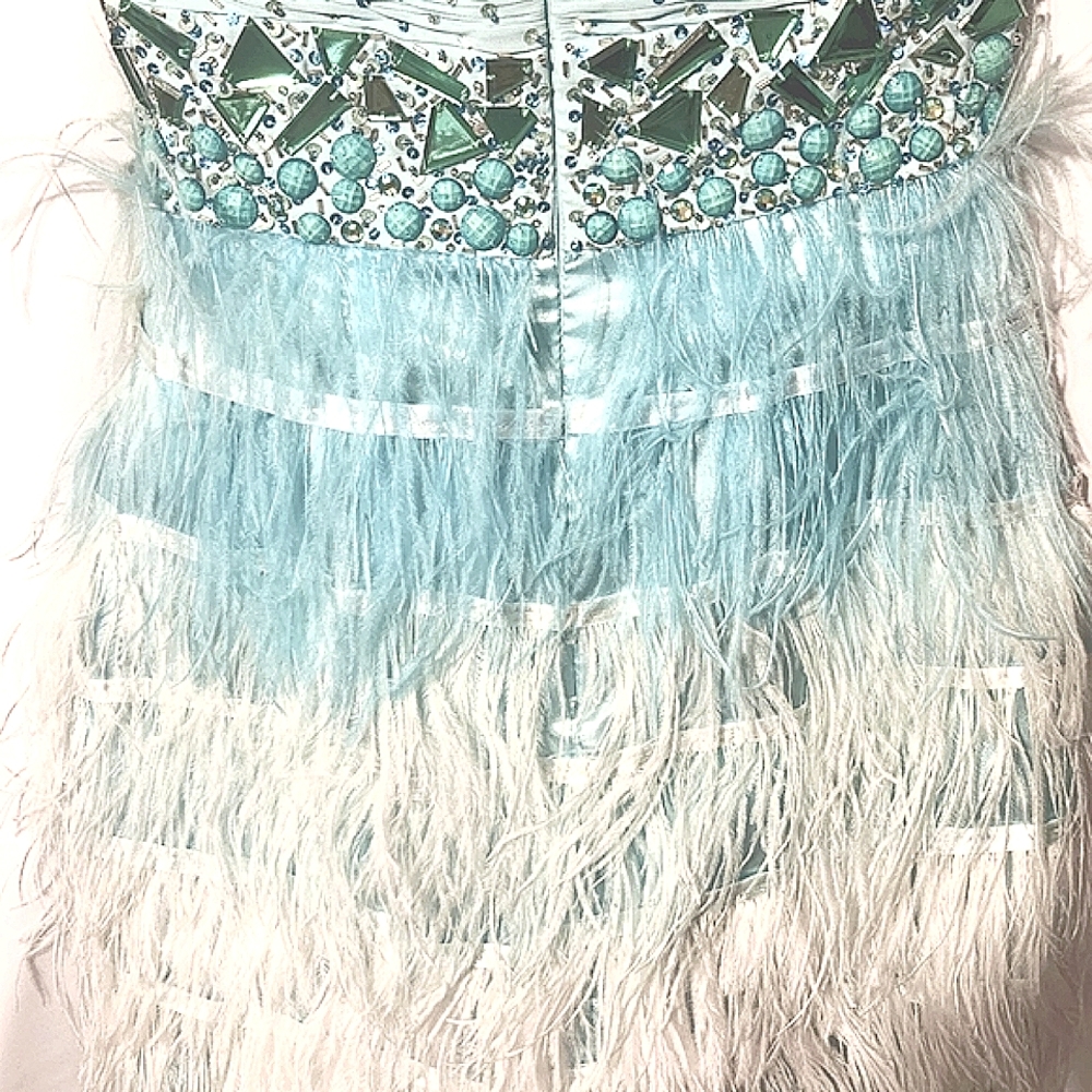 Prom/Formal Dress - Picture 5 of 6